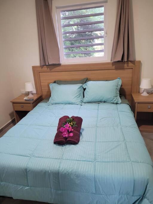 Local Willibrord Lodge Willibrordus Εξωτερικό φωτογραφία